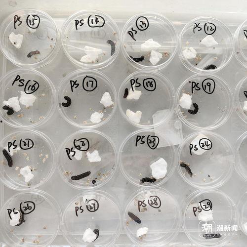 国产白浆喷水,引领绿色环保新潮流  第3张